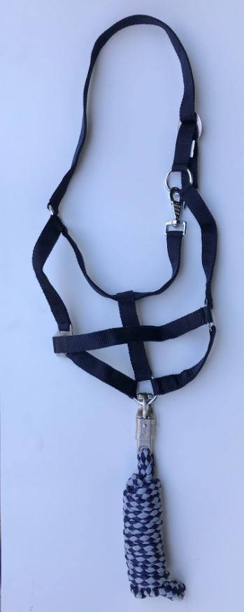 Lecou Nylon-Halfter Economy