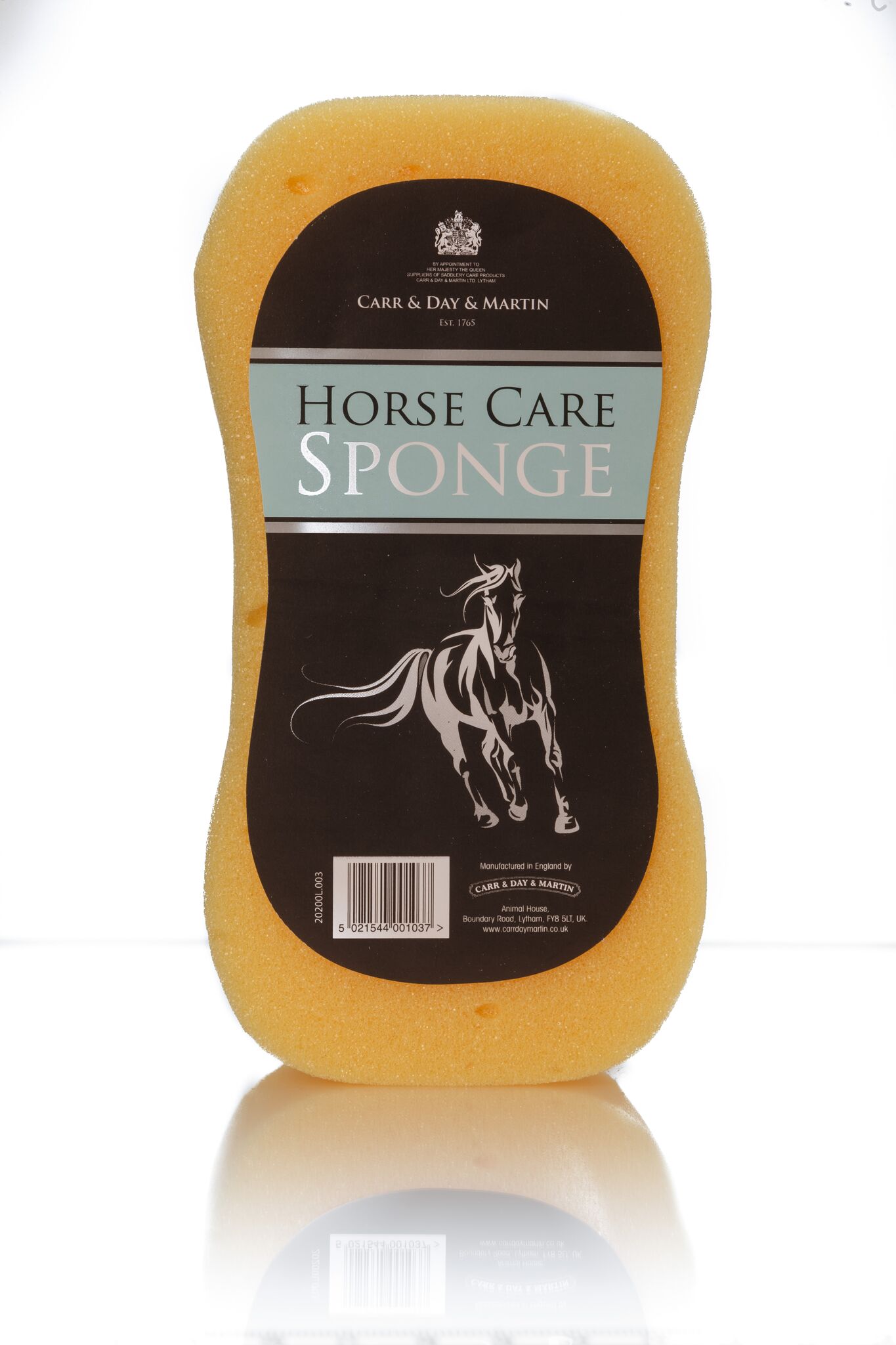 Horse Care Sponge