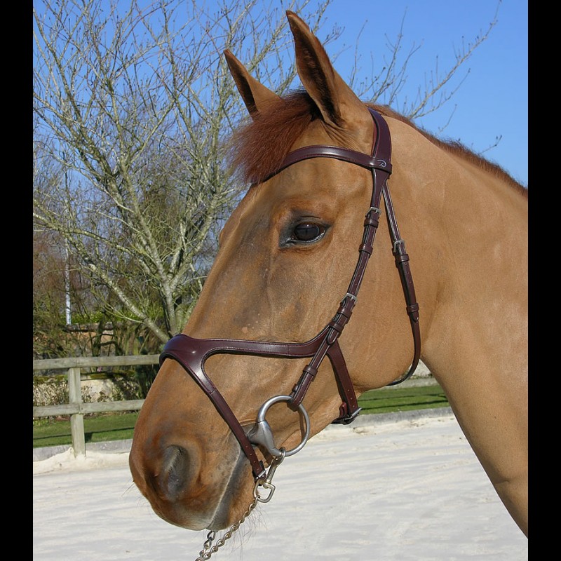 Dyon (NEC)  anatomische Trense X Fit