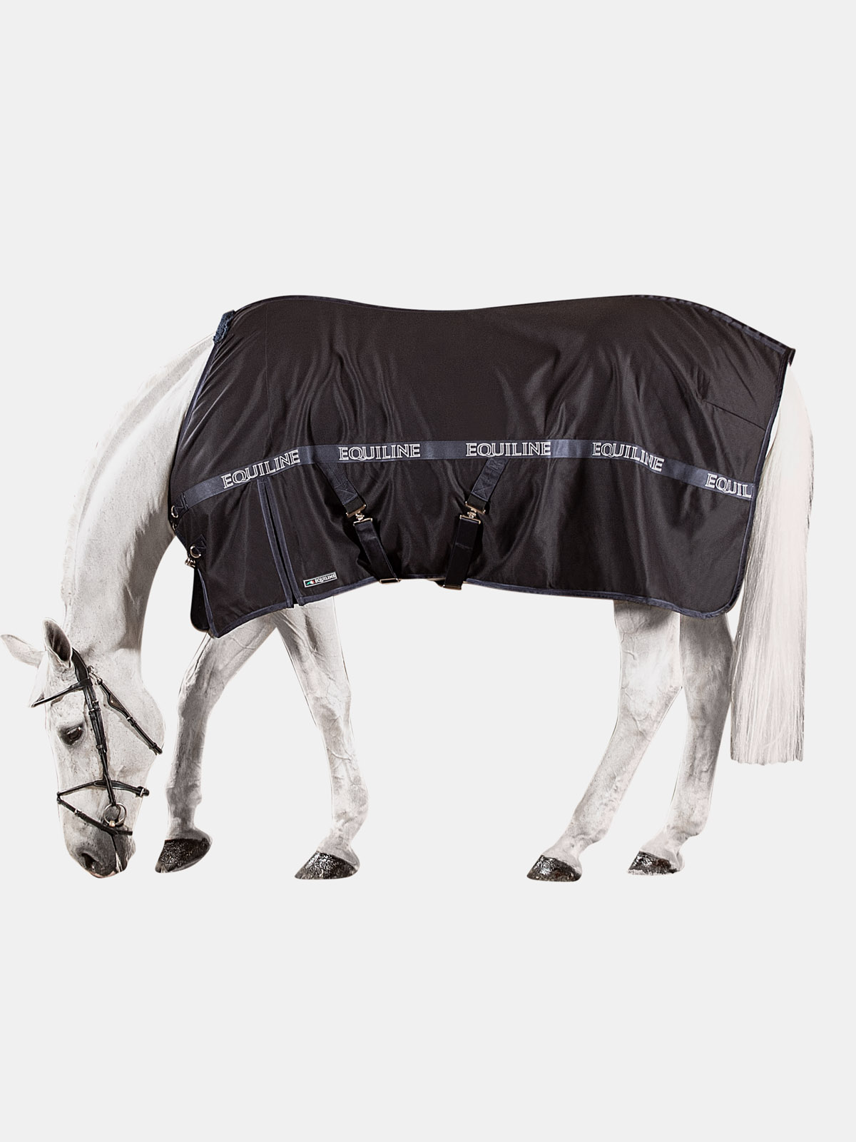 Equiline REYNOSA Stalldecke