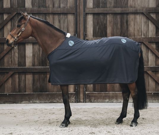 Kentucky Magnetische Decke Recuptex