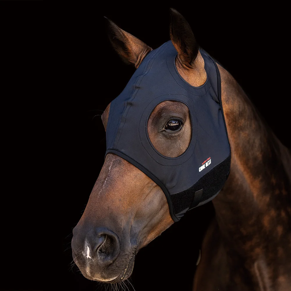 Lami-Cell Titanium Mask come best - no ears 