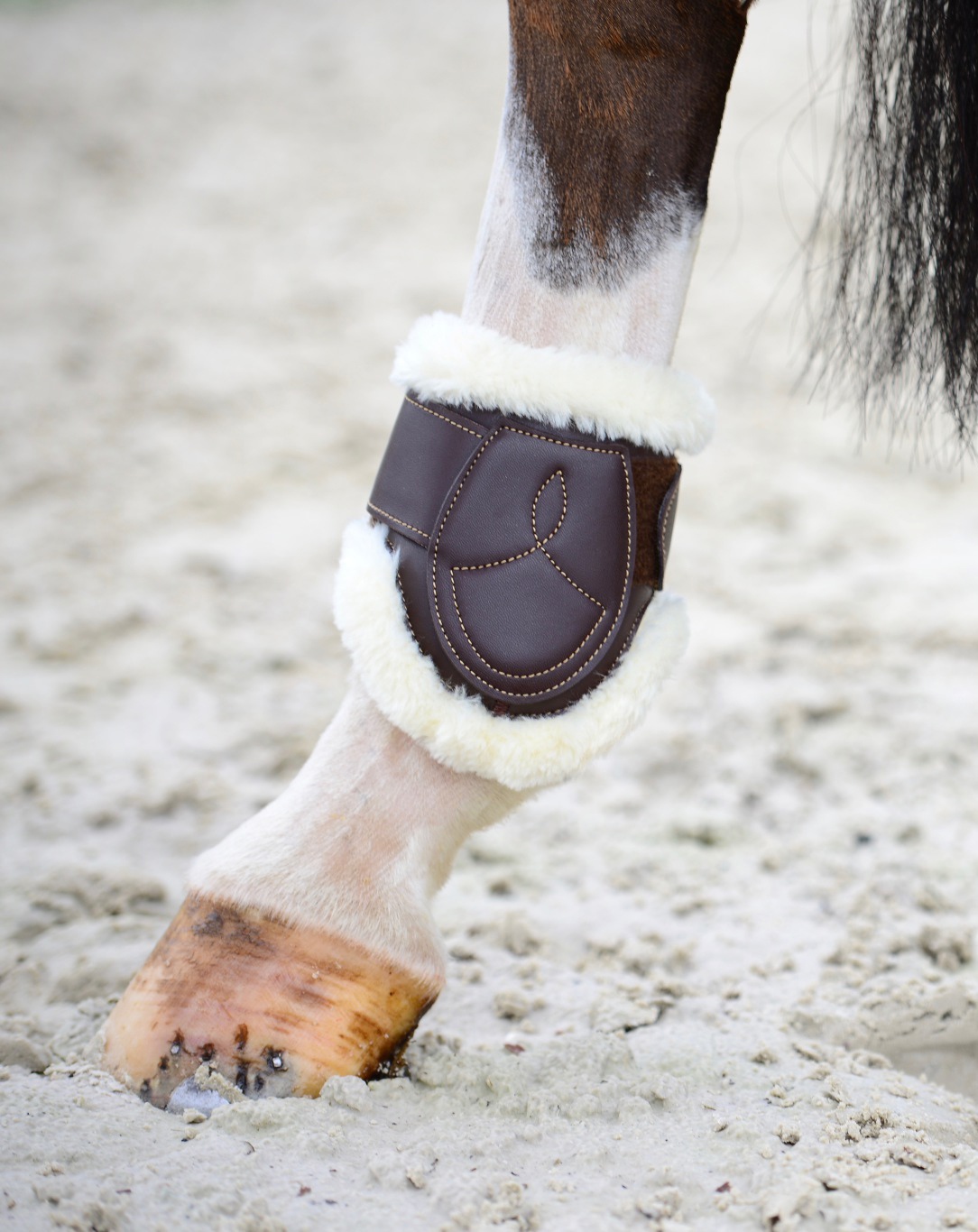 Kentucky Streichkappe Leder mit Lammfell