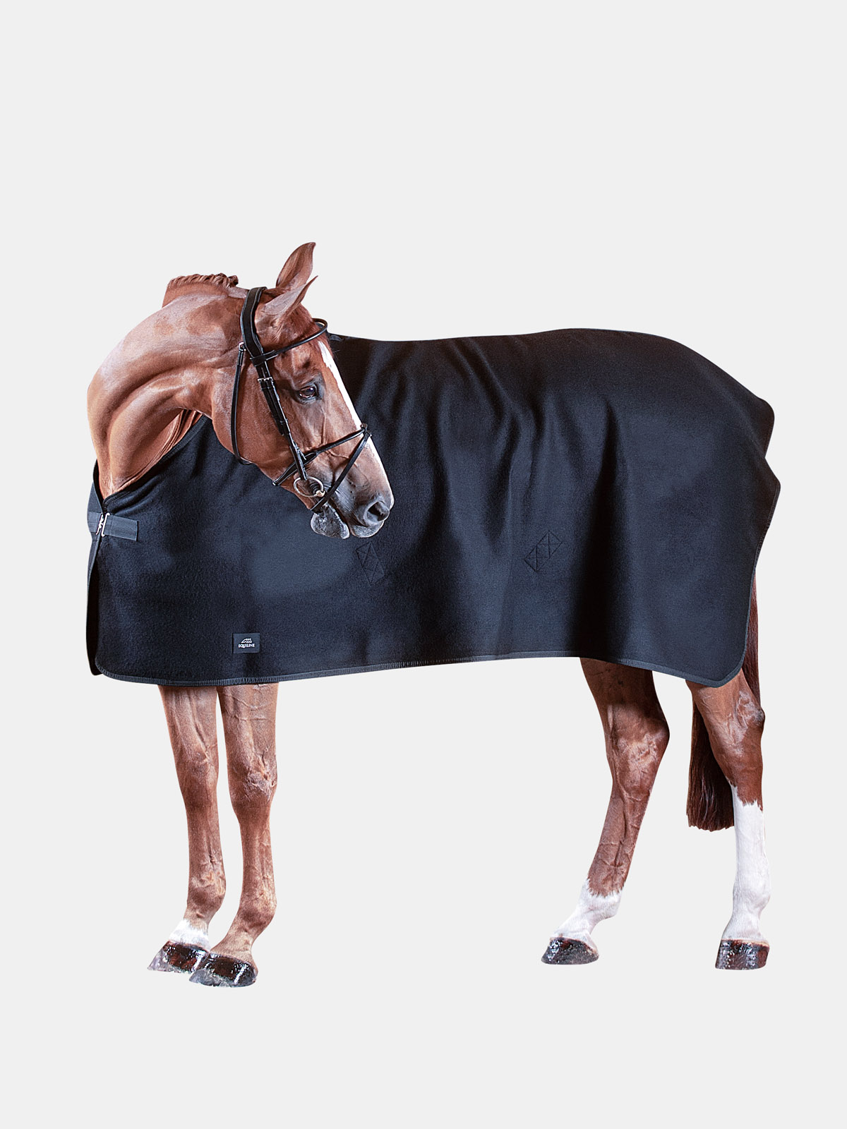 Equiline WOOL Abschwitzdecke