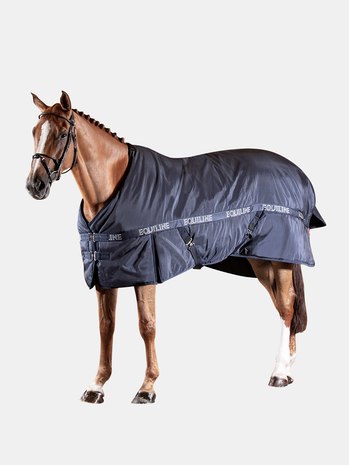 Equiline RAYNER Stalldecke 400GR